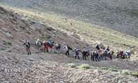 صعود کوهنوردان منطقه عملیاتی پارسیان به خط الرأس شرقی دنا 