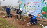 مشارکت شرکت نفت مناطق مرکزی ایران در جهاد ملی کاشت یک میلیارد درخت