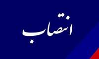   انتصاب مشاور مدیرعامل شرکت ملی نفت ایران   