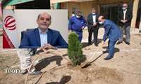 با کاشت  ۳۱۰۰ اصله نهال، به وسعت 161 هکتار فضای سبز شرکت نفت مناطق مرکزی ایران اضافه شد