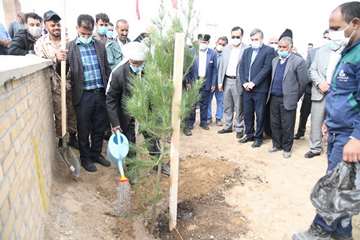 کاشت بیش از 2600 اصله نهال مثمر در مناطق عملیاتی شرکت نفت مناطق مرکزی ایران/شرق