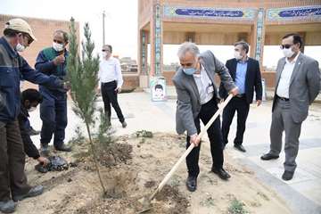 کاشت بیش از 2600 اصله نهال مثمر در مناطق عملیاتی شرکت نفت مناطق مرکزی ایران/شرق