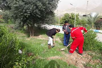 کاشت بیش از 2600 اصله نهال مثمر در مناطق عملیاتی شرکت نفت مناطق مرکزی ایران/غرب